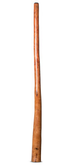Tristan O'Meara Didgeridoo (TM327)